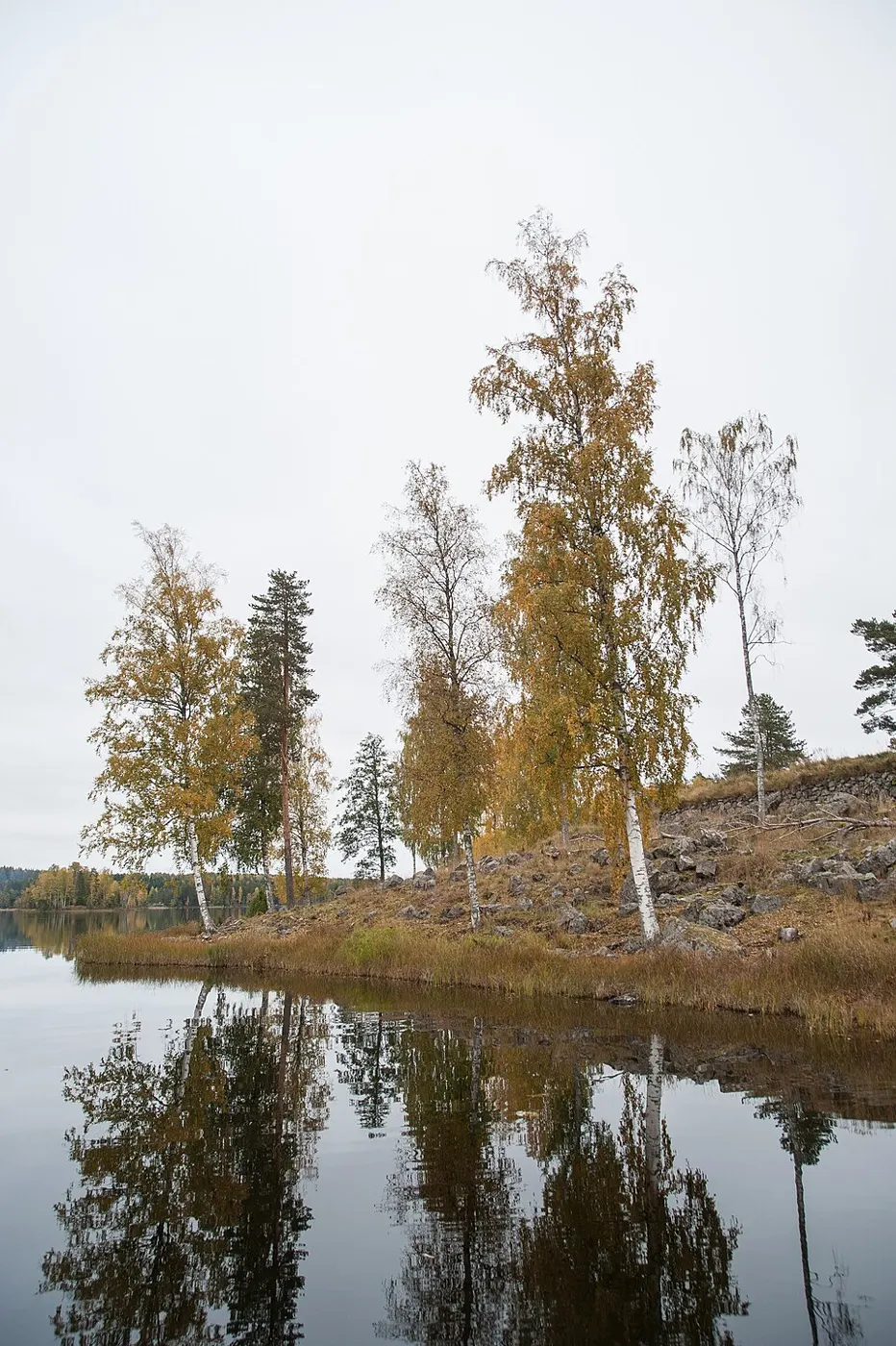 Kärnäkosken linnoitus 2017 06.jpg
